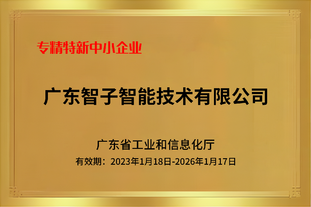 專精特新中小企業(yè) 專精特新中小企業(yè)